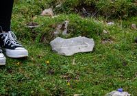 Galeriebild 0