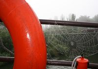 Galeriebild 3