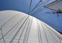 Galeriebild 12