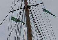Galeriebild 0