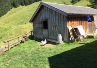 Galeriebild 10