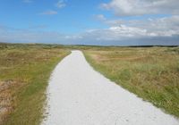 Galeriebild 0