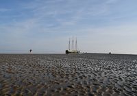 Galeriebild 12