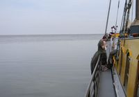 Galeriebild 11