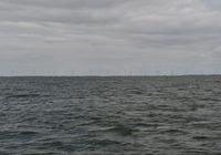 Galeriebild 3