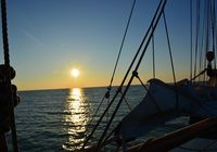 Galeriebild 13