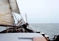 Galeriebild 7