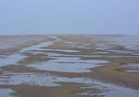 Galeriebild 4