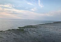 Galeriebild 5