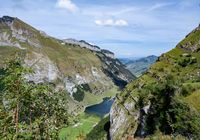 Galeriebild 0