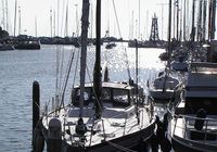 Galeriebild 4
