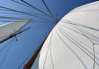 Galeriebild 3