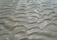 Galeriebild 8