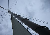 Galeriebild 8