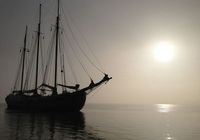 Galeriebild 0