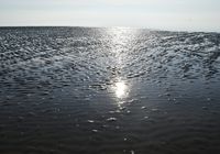 Galeriebild 12