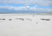 Galeriebild 0