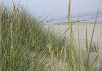 Galeriebild 12