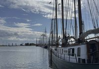 Galeriebild 0