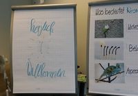 Galeriebild 3