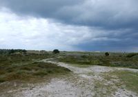 Galeriebild 0