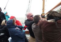 Galeriebild 1