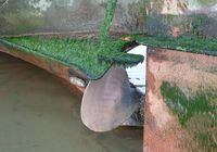 Galeriebild 0
