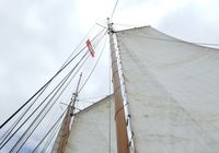 Galeriebild 0