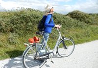 Galeriebild 0