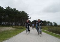 Galeriebild 6