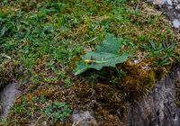Galeriebild 0