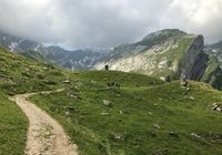Galeriebild 0