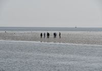 Galeriebild 10