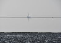 Galeriebild 11