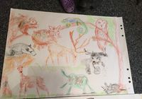 Galeriebild 4