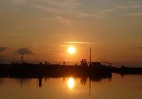 Galeriebild 11