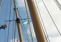 Galeriebild 0