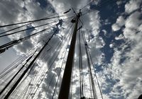 Galeriebild 0