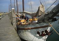 Galeriebild 3