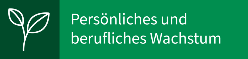 Tools-fuer-professionelle-Begleitung