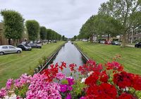 Galeriebild 0