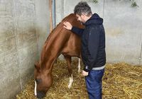 Galeriebild 8