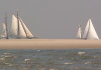 Galeriebild 1