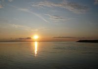 Galeriebild 10