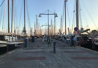 Galeriebild 1