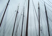 Galeriebild 0