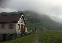 Galeriebild 2