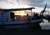Galeriebild 15