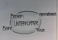 Galeriebild 0
