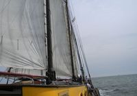 Galeriebild 14